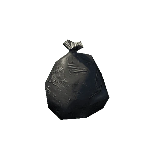 Garbage Bag 2